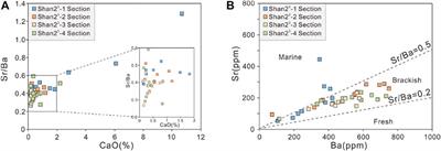 Sedimentology and Geochemistry of the Lower Permian Shanxi Formation Shan 23 Submember Transitional Shale, Eastern Ordos Basin, North China